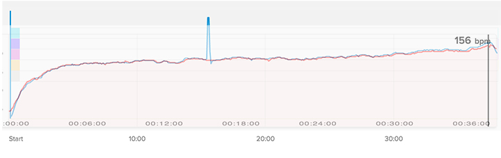 Fitbit versus Polar