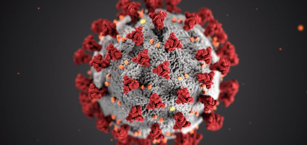 Coronavirus of COVID-19 (foto: CDC via Unsplash)